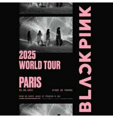 BOX CONCERT HOTEL VOLTAIRE 1 PERSONNE - BLACKPINK - CATEGORIE 3 - STADE DE FRANCE - SAMEDI 2 AOUT 2025
